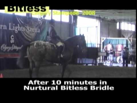 Nurtural Bitless Bridle Wild Mustang Does Better Youtube