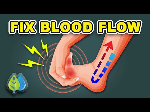 #1 BEST Meal to Improve Blood Flow to Legs &amp; Feet | Improve Circulation in Feet &amp; Legs
