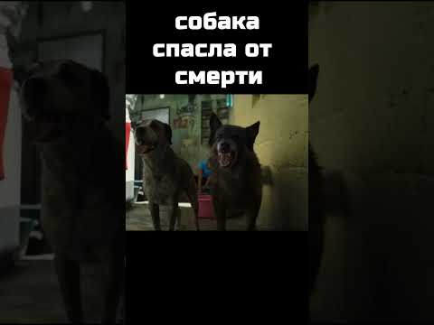 Артур, ты король (2024) #shorts #кино #фильм
