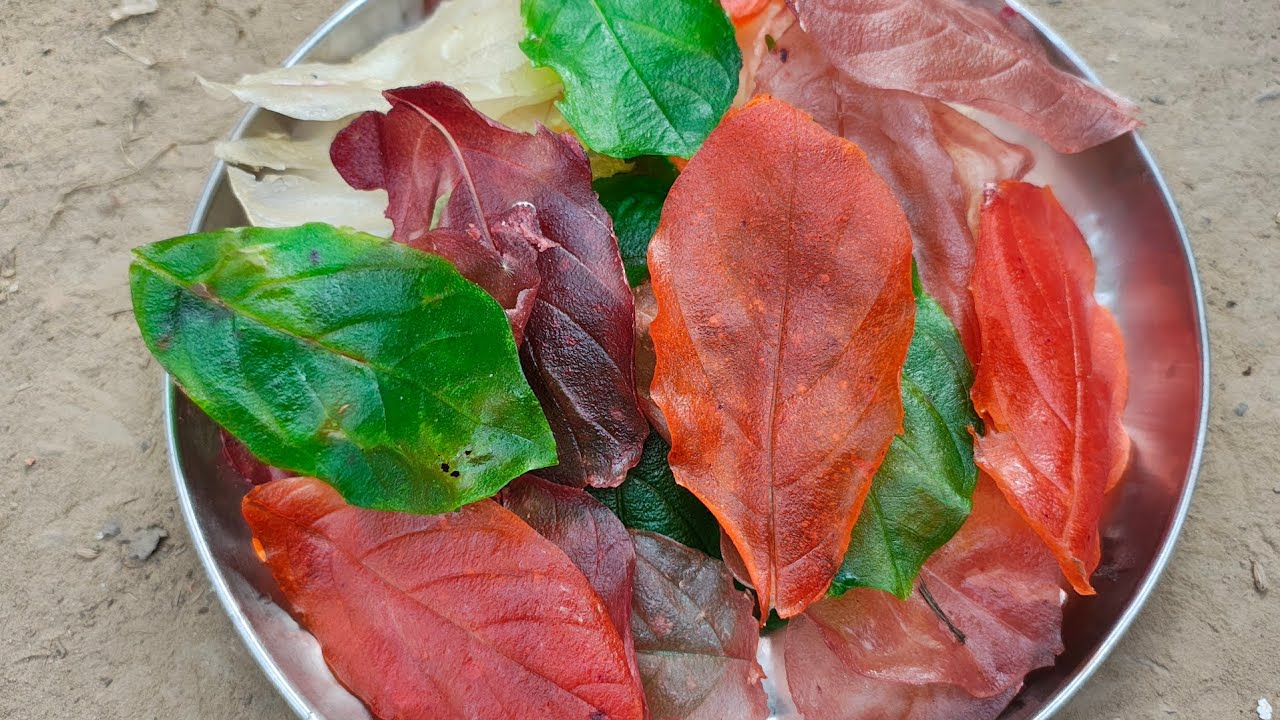 মাত্র ১টি উপকরণে ৩০ সেকেন্ডে পাতা পিঠা  | Crispy Leaf Papad Recipe | Easy Homemade Papor