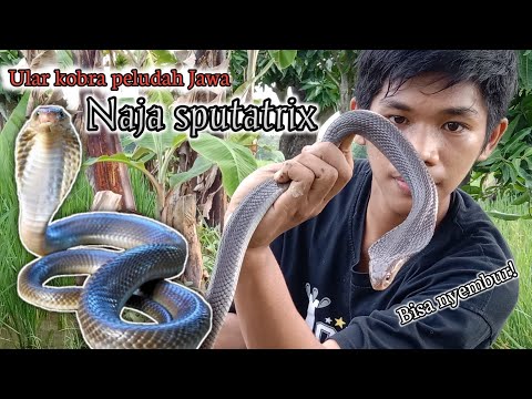 Eshakdagi eng uzun dildo Tolyatti ayollari shaxsiy intim fotosuratlari