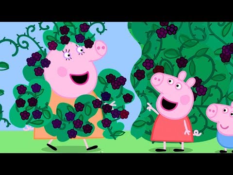 페파피그 | 한글 | 60분 | 블랙베리 따기 | 꿀꿀! 페파는 즐거워 스페셜 | 어린이 만화 | Peppa Pig Korean