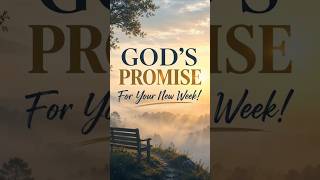 New Week Anxiety? Jeremiah 29:11 - God Has A Plan  #shorts
