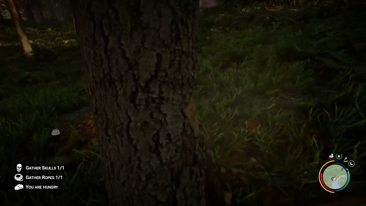 1 Hour Of Chopping a Tree