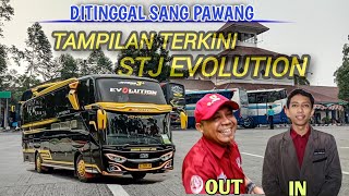 DITINGGAL SANG PAWANG ‼️BAGAIMANA KONDISI STJ EVOLUTION SEKARANG❓🤔