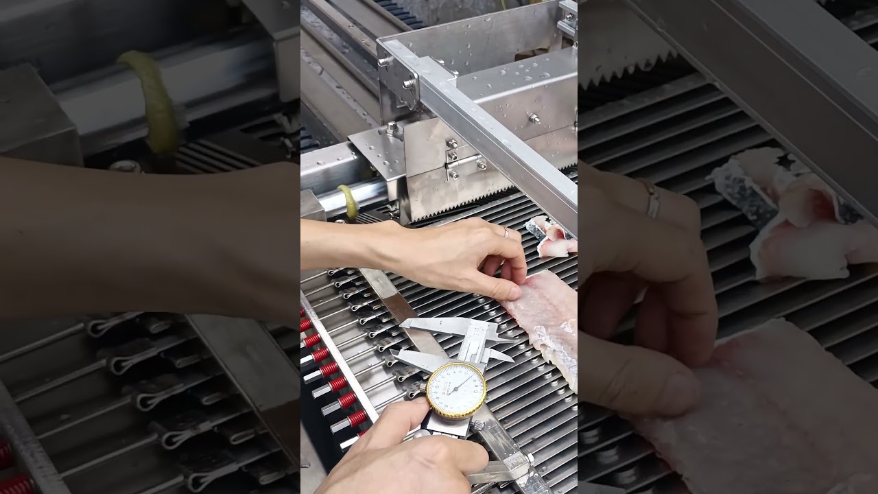 Fish slicer for factory