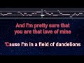 Practice Karaoke Dandelions Ruth B With Guide Melody Instrumental