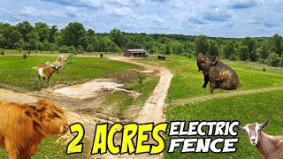 FENCED in 2 ACRES / Jason Gets SHOCKED and DEADLY SNAKE! Homestead // Ranch // Farm