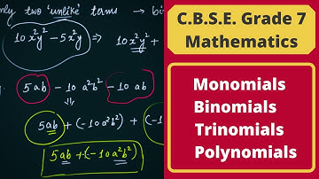 Monomials, Binomials, Trinomials & Polynomials || Algebra || Grade 7 & 8