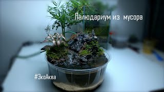 #ЭкоАква - Палюдариум из мусора. / #Ecoaqua - paludarium of garbage.