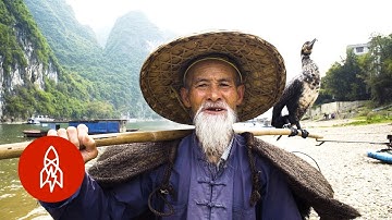 The Art of Fishing With Birds
