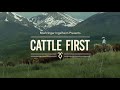 Cattle First Documentary 