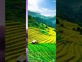 Huawei Mate 10 lock screen video shows off adaptive colors, 18:9 aspect ratio
