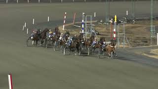 Vidéo de la course PMU LOPP 6