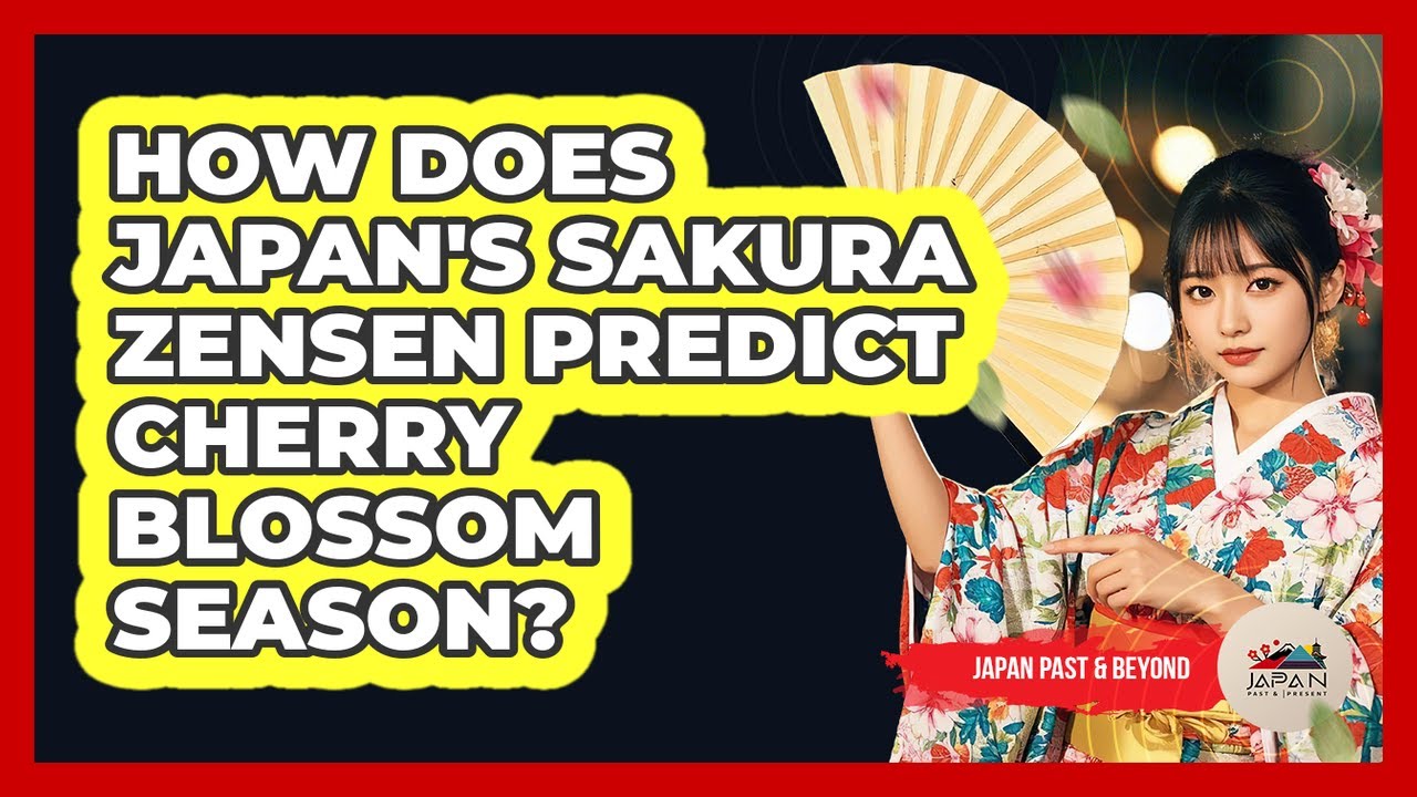 How Does Japan's Sakura Zensen Predict Cherry Blossom Season? - Japan Past and Present