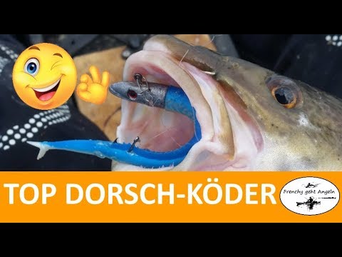Mein Top Dorsch-Kder !