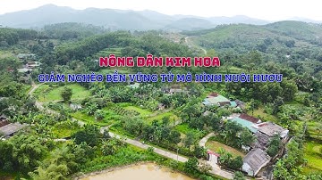 NÔNG DÂN KIM HOA GIẢM NGHÈO BỀN VỮNG TỪ MÔ HÌNH NUÔI HƯƠU