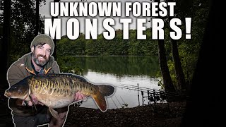 Fishing for Unknown Monster Carp in The Forest! (2023 Road Trip part 1.)