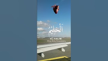 القران الكريم 🙏 راحه نفسيه 🤲🌲🌳