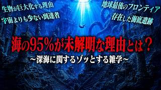 なぜ人類は海を5％しか解明することができないのか？