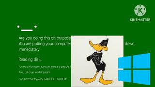 Windows 11 Kill Screen But Daffy Duck And Windows 8.1 Wanted To See That