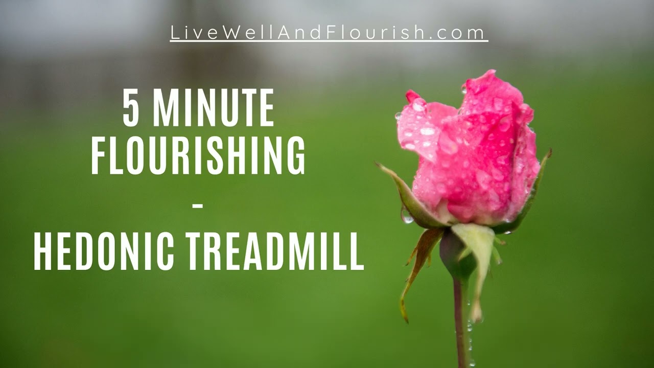 Hedonic Treadmill: The Dulling Of Shiny New Things (5MF)
