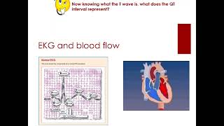 w2 02A 2 EKG CAD Taped