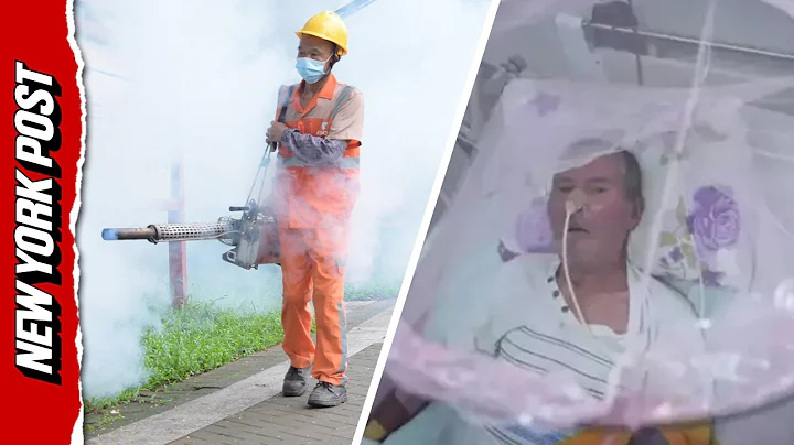 Pandemic fears sparked in China over chikungunya VIRUS: What you need to know