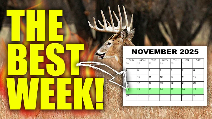 GIANT Bucks Are On The Move: Here's What to Do!