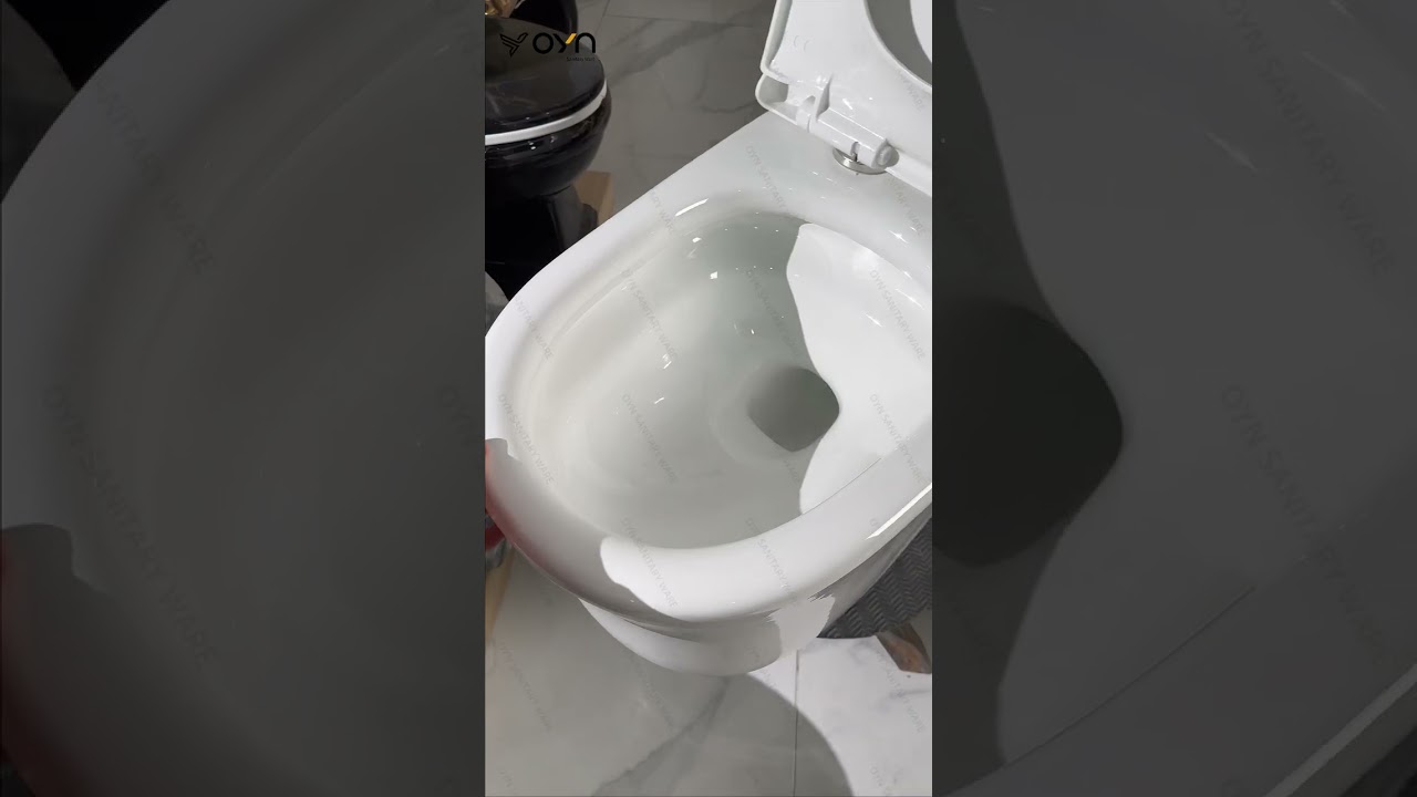 Premium Porcelain: Where Luxury Meets Function