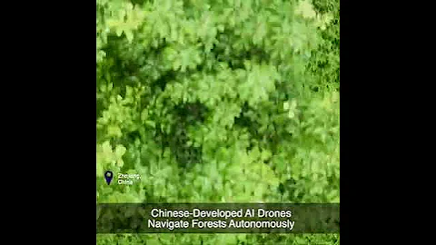 Chinese-Developed AI Drones Navigate Forests Autonomously - DayDayNews