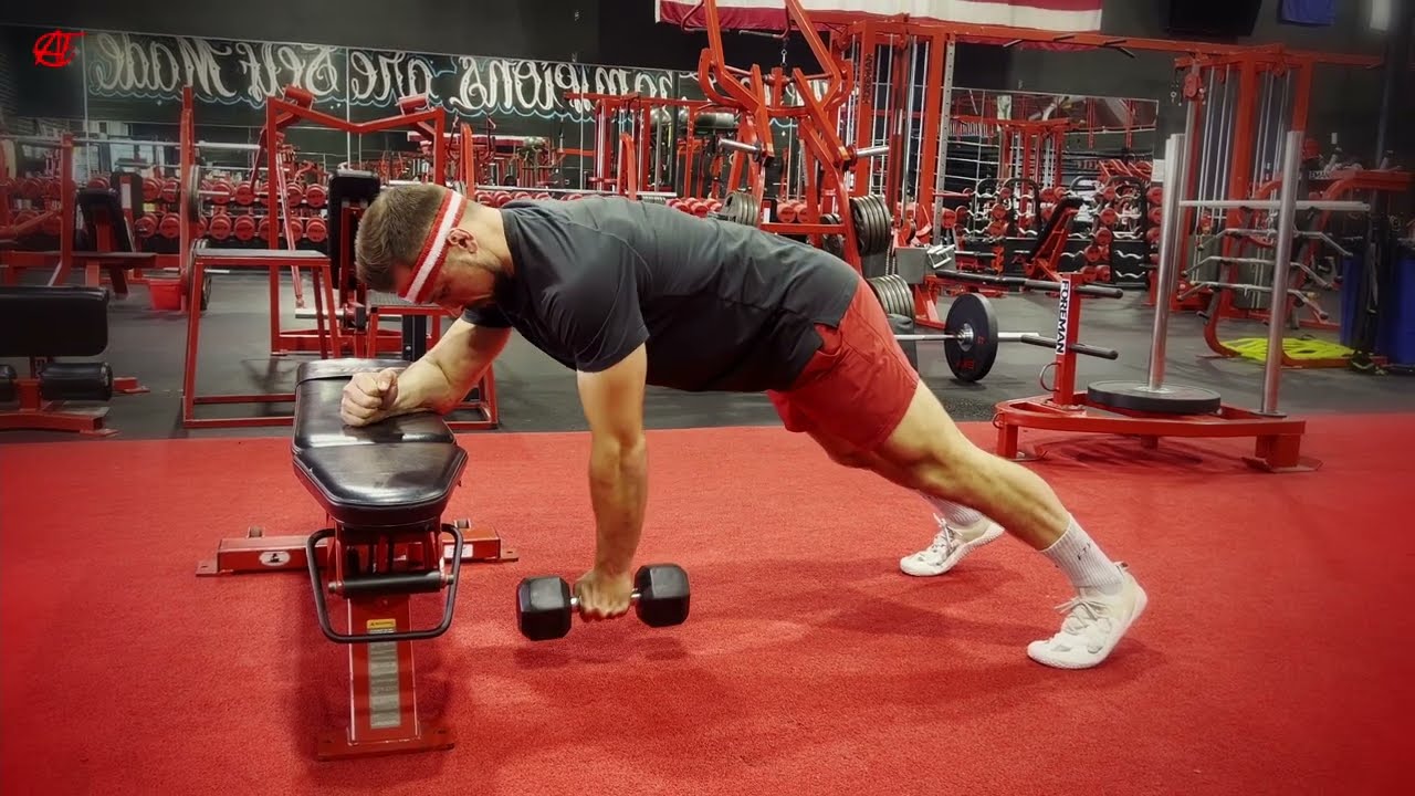 3 POINT HIGH PLANK DUMBBELL ROW