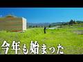 またこの季節がやってきた…今年も草刈りがスタートしました