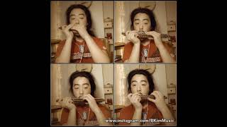 Polyphonia Harmonica Choir:  Ave Verum Corpus  -Mozart