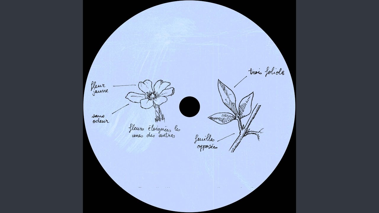 Guarda Bianca su YouTube Guarda Bianca su YouTube