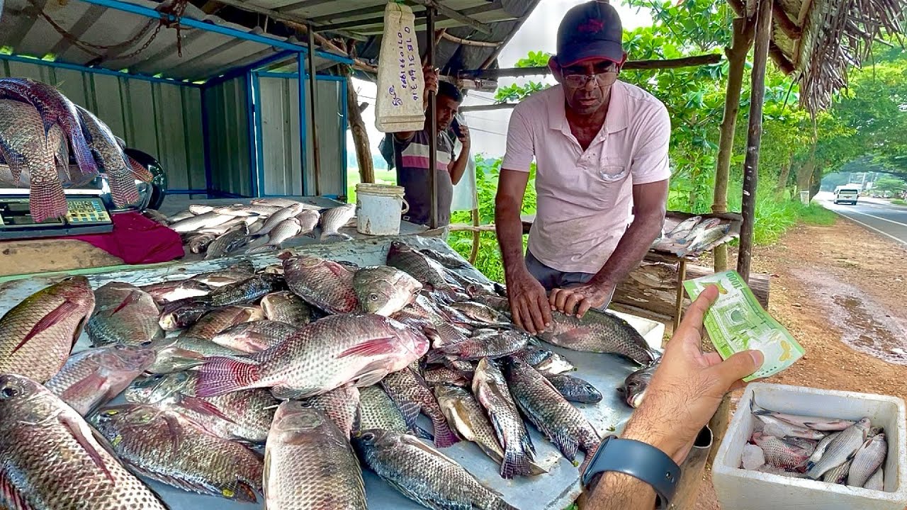Price SHOCKER! What do Fresh Fish ACTUALLY Cost in Rural Fish Market Sri Lanka 2026?