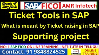 Ticket Tools in SAP | What is Mean by Ticket raising in SAP | Supporting project