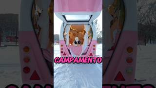 Te Vas De Campamento Con Tu Familia Cual Campervan Eliges Para Esta Aventura?
