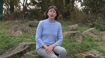 Train to be a driving instructor - Lynda