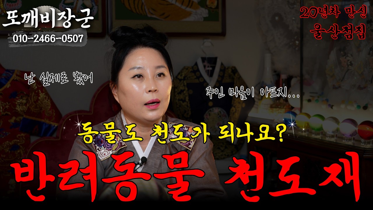 #반려동물 #천도재 동물도 천도가 되나요?! 💭 [또깨비장군 010-2466-0507]