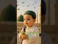 Ai Naat E Mustafa 7 نعت مصطفی ﷺ Ai Naat E Mustafa 7 نعت مصطفی ﷺ