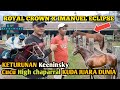 ROYAL CROWN X IMANUEL ECLIPSE Pejantan Baru Sumbar Keturunan Juara Dunia Keeninsky, high chaparral