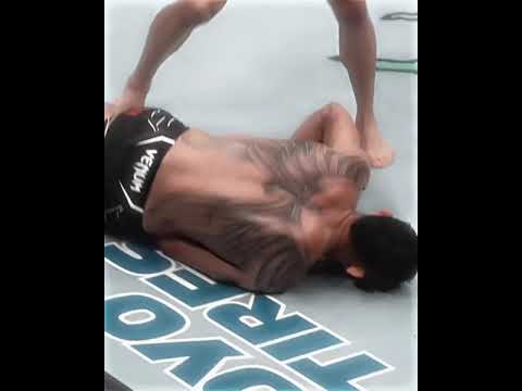 Nastiest KO S In UFC UFC Crazy Story X Monatgem Lunar Diamante Slowed Reverb