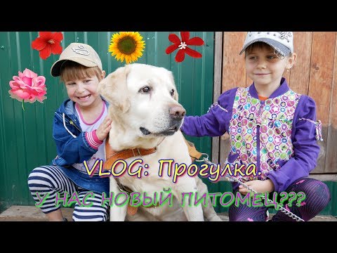 VLOG: Прогулка к бабушке//У нас новый питомец!!??