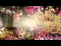 حبيبي بلا دليل الحاج ميثم التم ار Maytham Al Tammar 