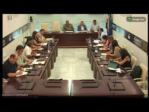 Comisión subtitulada no