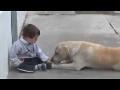 Video: Sindrom Anak Anjing