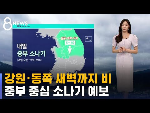 [날씨] 강원·동쪽 새벽까지 비…중부 중심 소나기 예보 / SBS 8뉴스