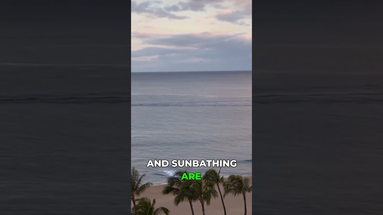 Hidden Gems! Must-Visit Beaches in Florida, Hawaii & Oregon