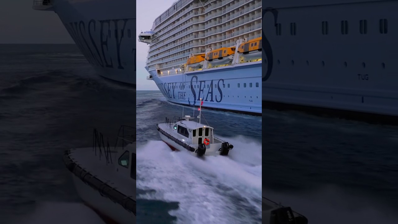 Le Pilot, équipé de deux Mercury Verado V10 400 ch, croise l’Odyssey of the Seas